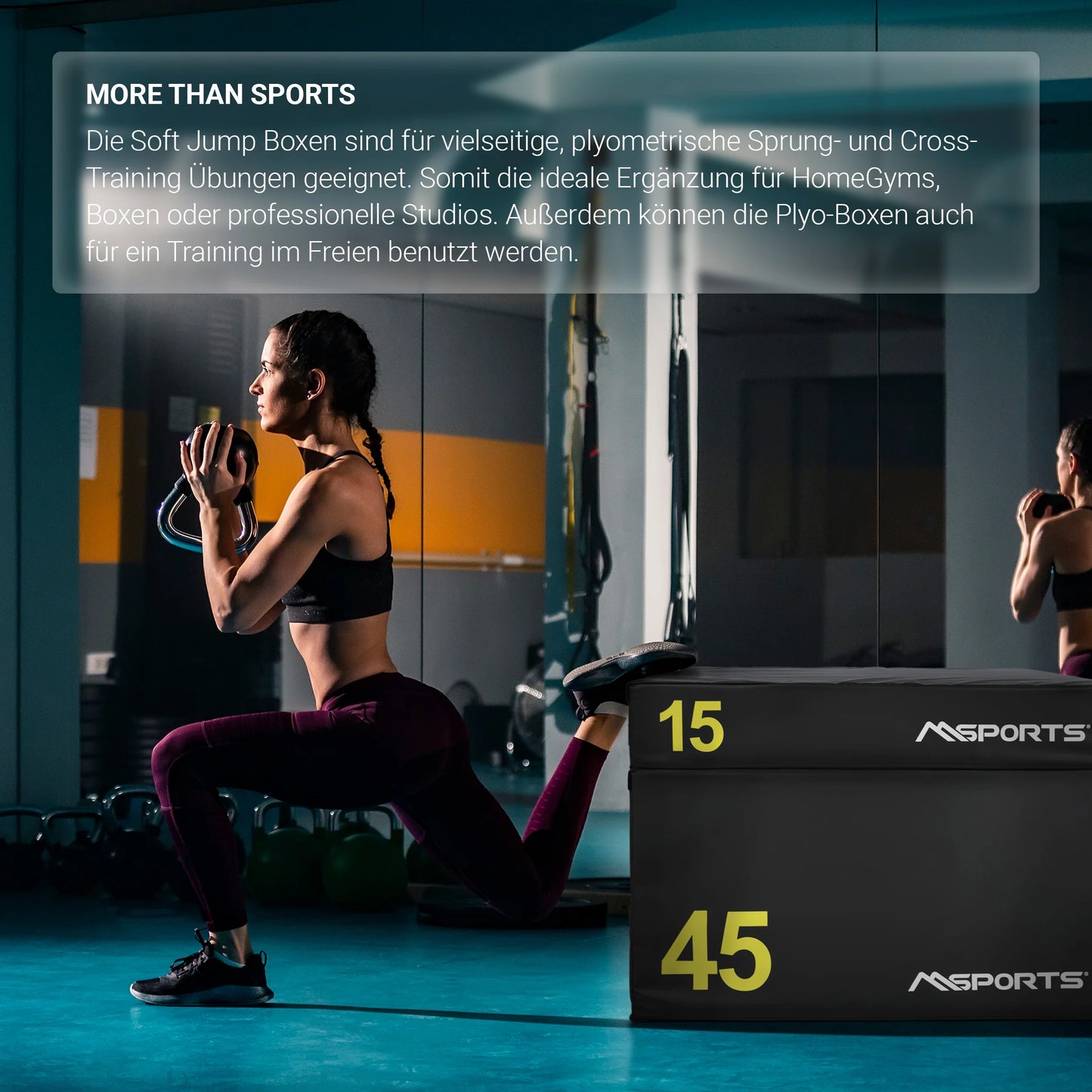 2025 Plyo Box Profesional