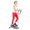 Sunny Health & Fitness Elíptica magnética compacta con manillar – stepper portátil para entrenamiento en casa, modelo SF-E3988.