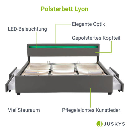 2025 Cama tapizada Lyon