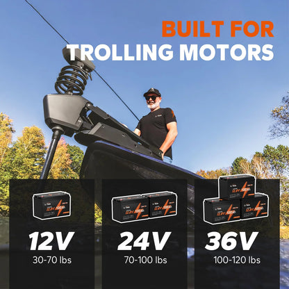 2025 Batería de Litio LiTime 12V 100Ah TM LiFePO4 con BMS de 100A Integrado