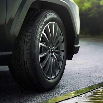 2025 Neumático Michelin Primacy para toda estación 225/65R17 102H